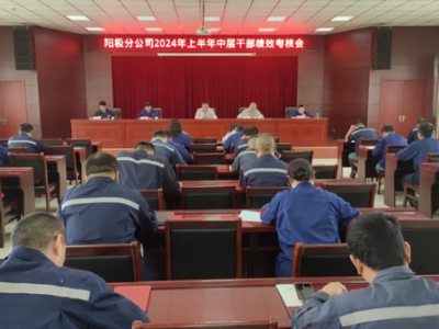 ꖘO�ֹ�˾���_2024���ϰ����ЌӸɲ���Ч���˕�(hu��)